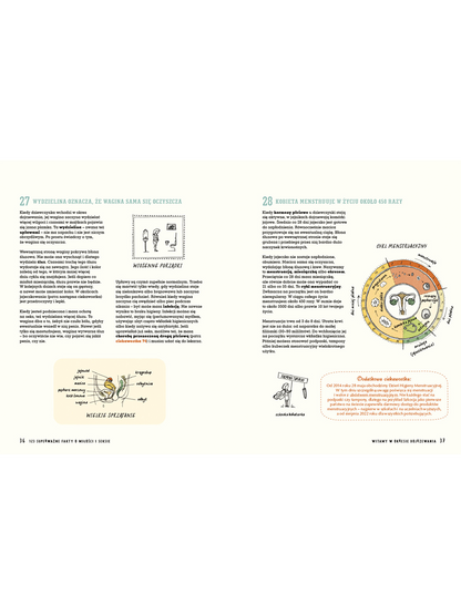 123 Superważne fakty o miłości i seksie Wydawnictwo Nasza Ksiegarnia BÉBÉ Concept