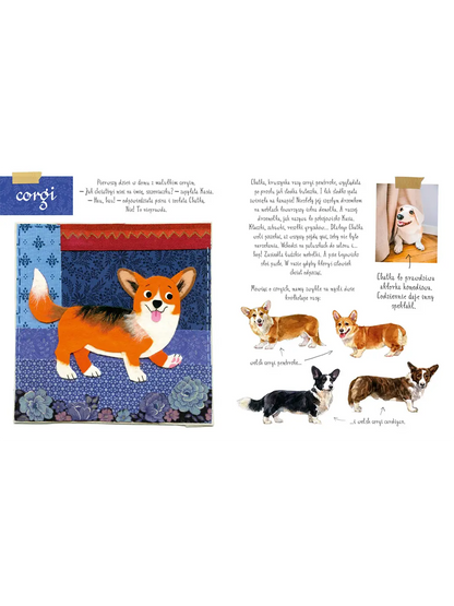 Mały atlas psów i szczeniaków Ewy i Pawła Pawlaków Wydawnictwo Nasza Ksiegarnia BÉBÉ Concept 