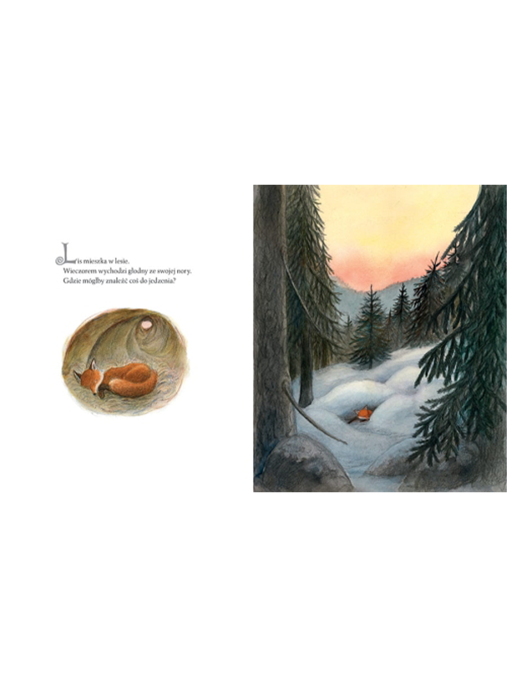 Lis i skrzat Wydawnictwo Zakamarki BÉBÉ Concept 