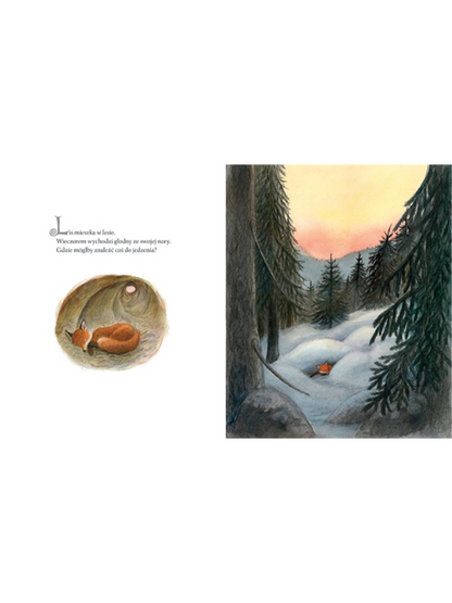 Lis i skrzat Wydawnictwo Zakamarki BÉBÉ Concept 