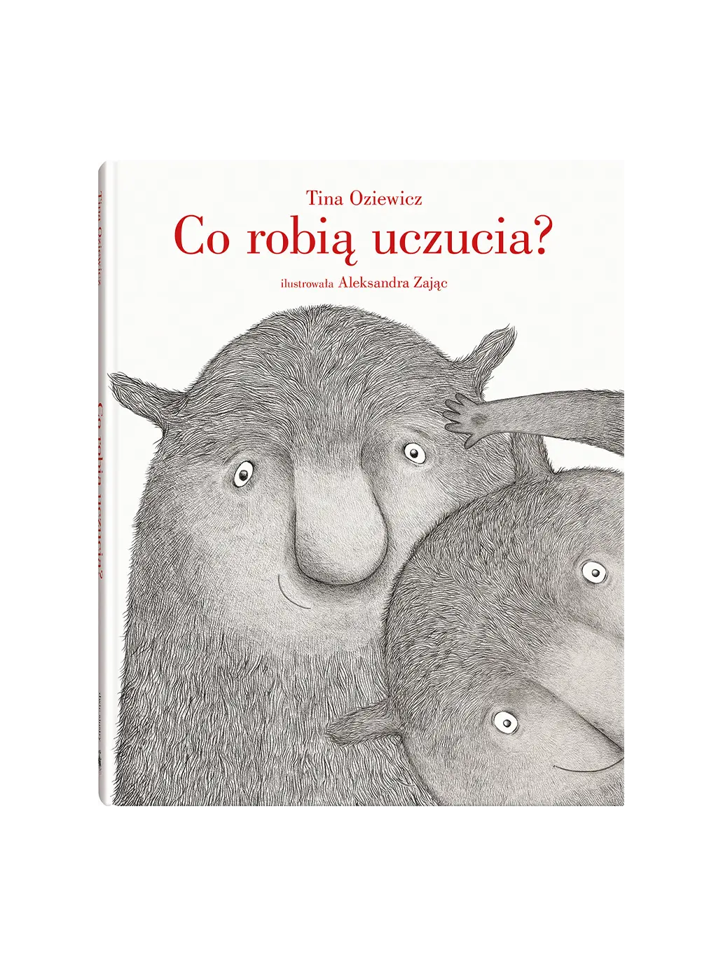 Co robią uczucia ? Wydawnictwo Dwie Siostry BÉBÉ Concept