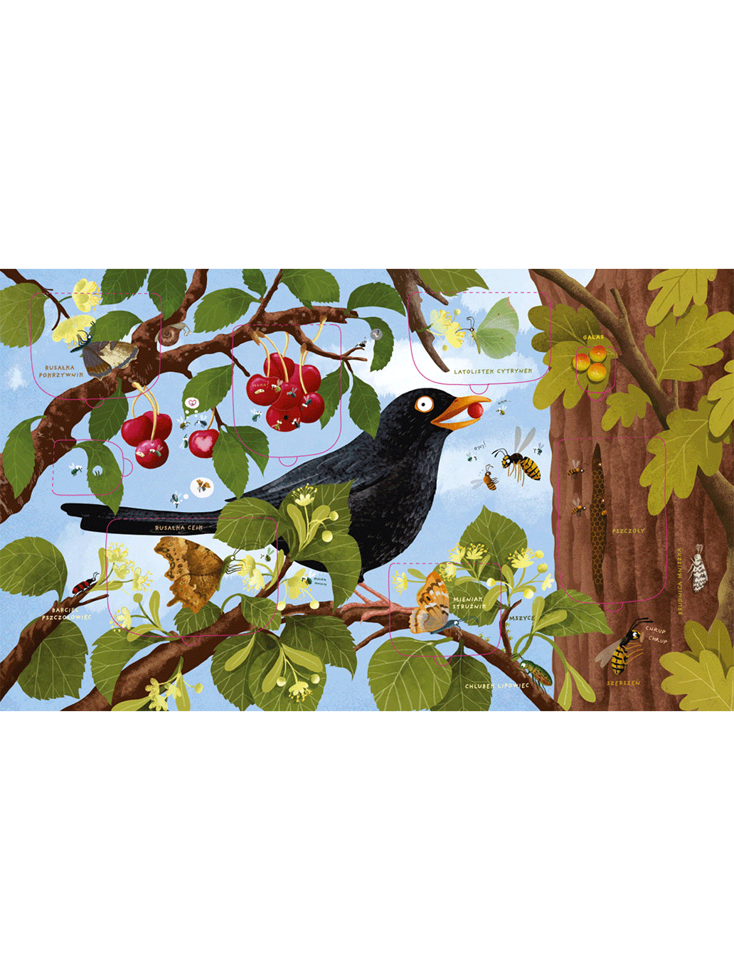 Rok w lesie. Robaczki Wydawnictwo Nasza Ksiegarnia BÉBÉ Concept