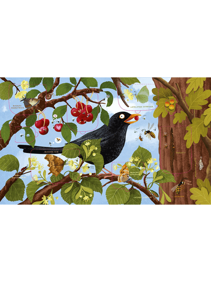 Rok w lesie. Robaczki Wydawnictwo Nasza Ksiegarnia BÉBÉ Concept