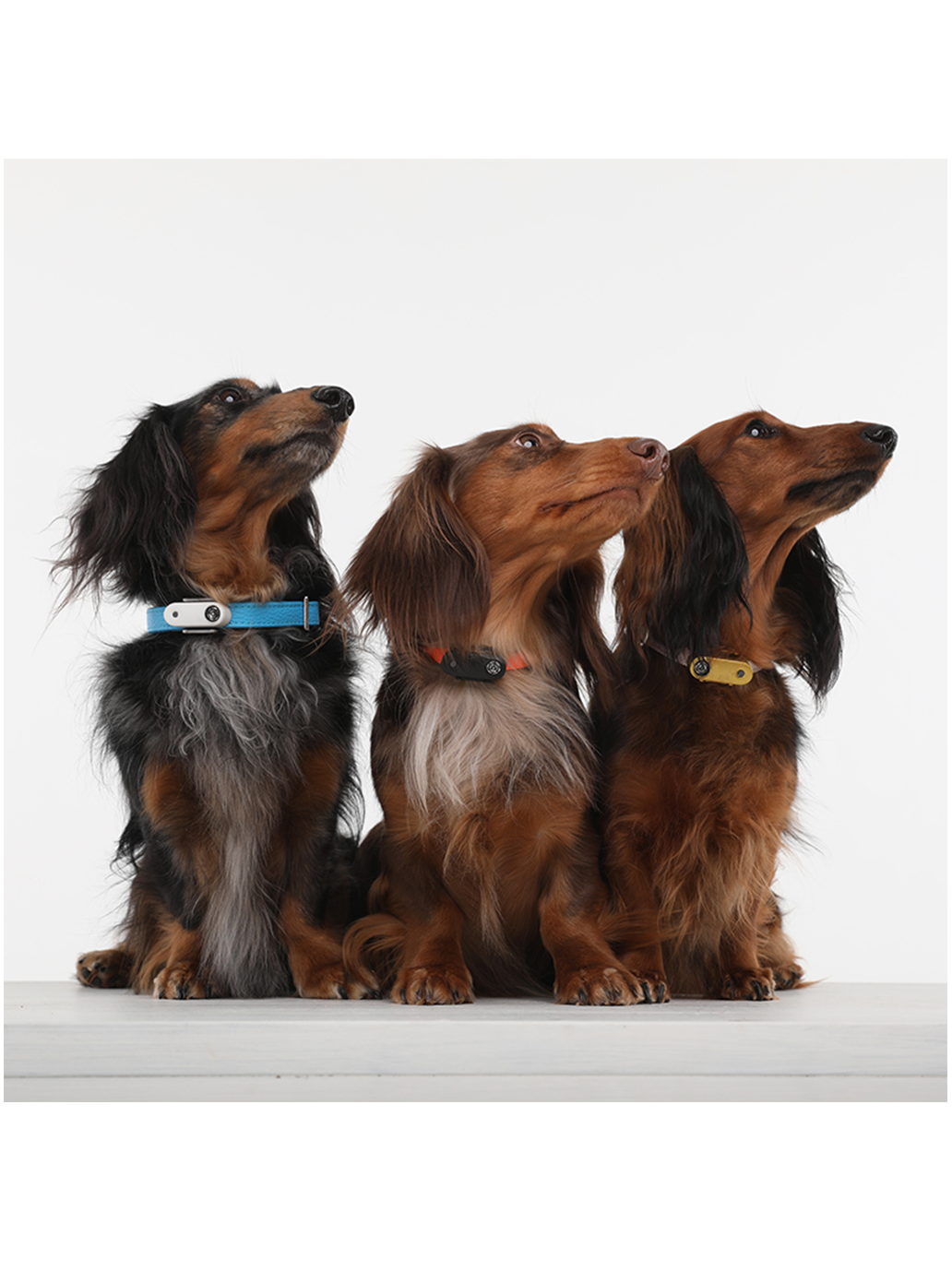 Urządzenie chroniące przed kleszczami Tickless Pet Tickless BÉBÉ Concept 