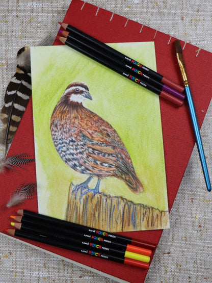 Zestaw kredek ołówkowych POSCA UNI BÉBÉ Concept 