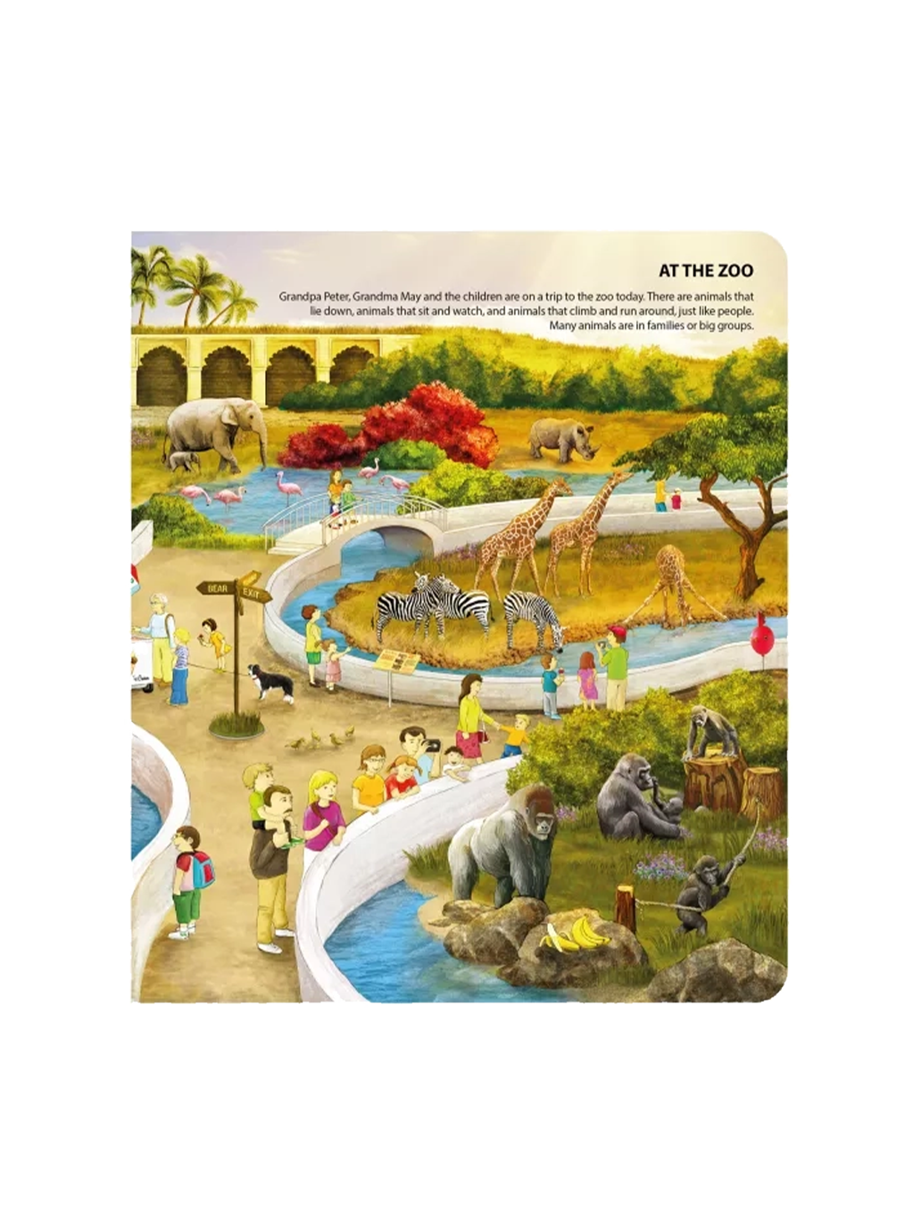 Język angielski. Zestaw książka z piórem Albi BÉBÉ Concept 