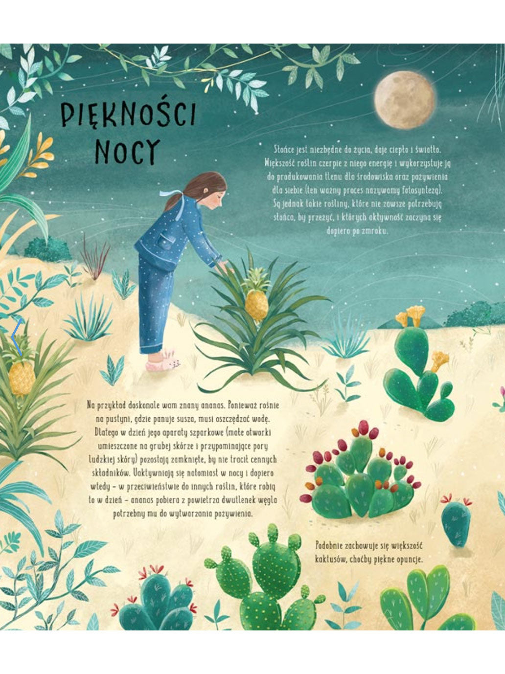 Po ciemku, czyli co się dzieje w nocy Wydawnictwo Nasza Ksiegarnia BÉBÉ Concept 