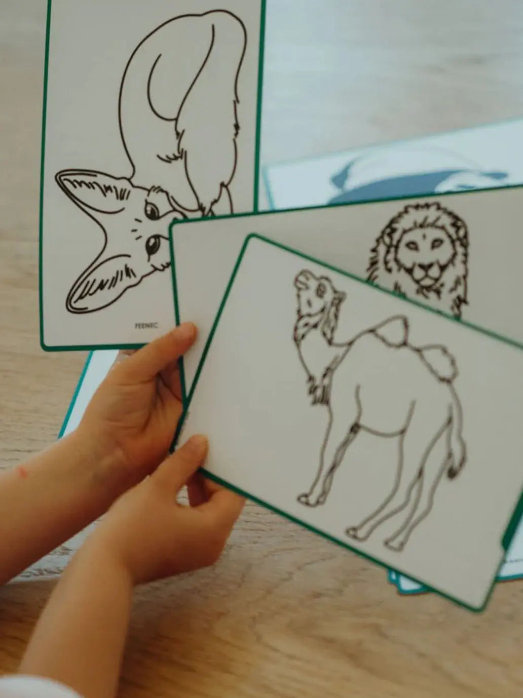 Podświetlany tablet do rysowania Kidydraw Mini Animals Around The World Kidywolf BEBE Concept 