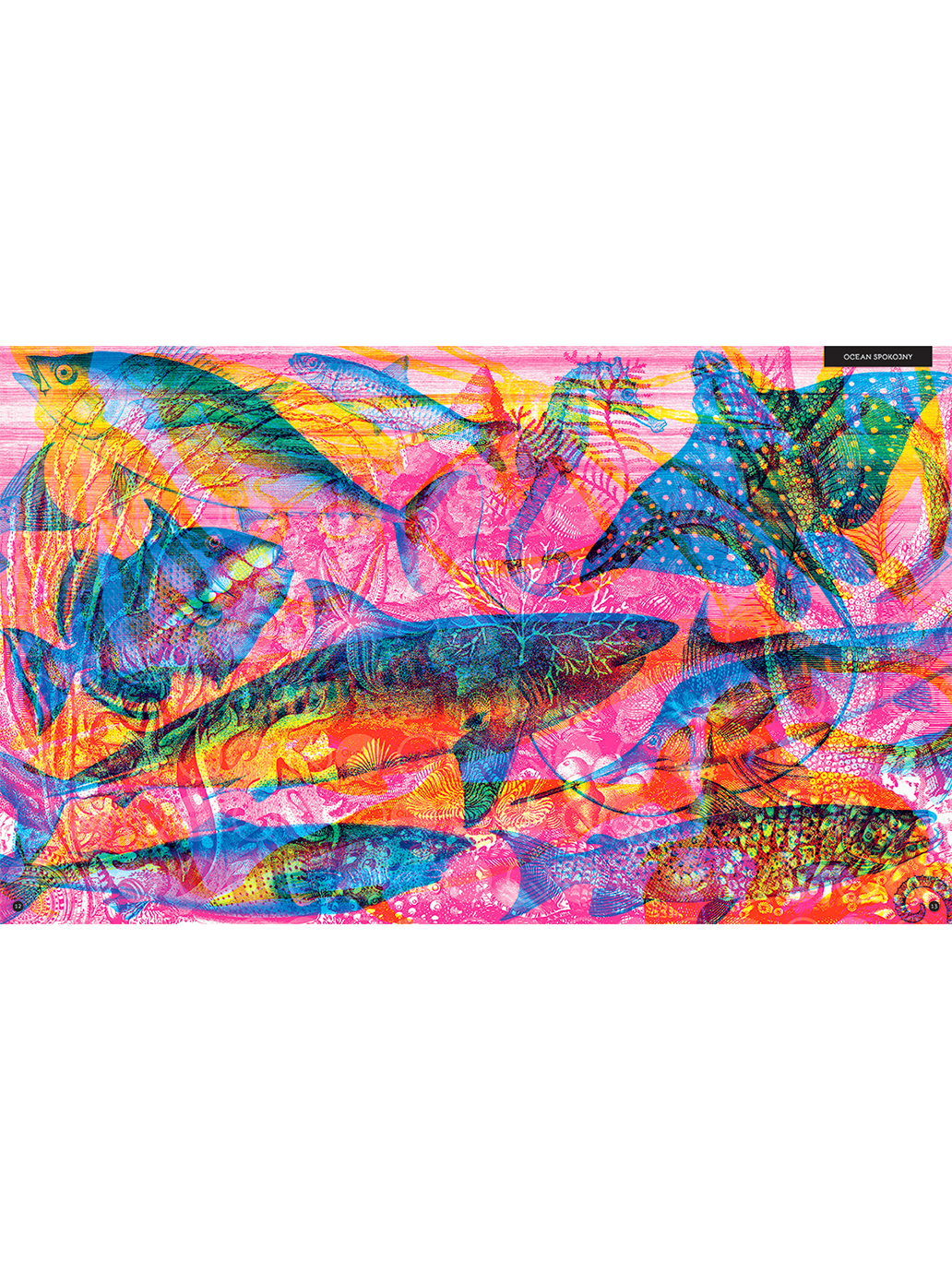 Gabinet Oceanów Wydawnictwo Dwie Siostry BÉBÉ Concept