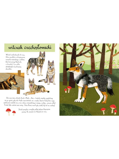 Mały atlas psów i szczeniaków Ewy i Pawła Pawlaków Wydawnictwo Nasza Ksiegarnia BÉBÉ Concept 