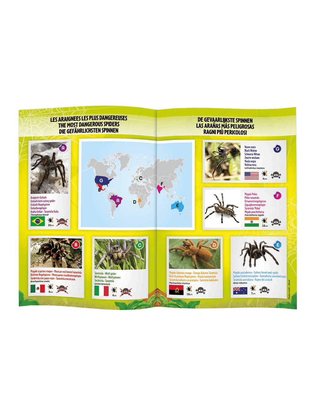 Tarantula na pilota Buki BÉBÉ Concept 