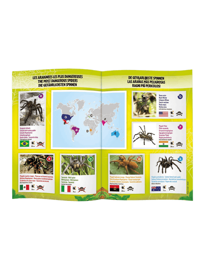 Tarantula na pilota Buki BÉBÉ Concept 