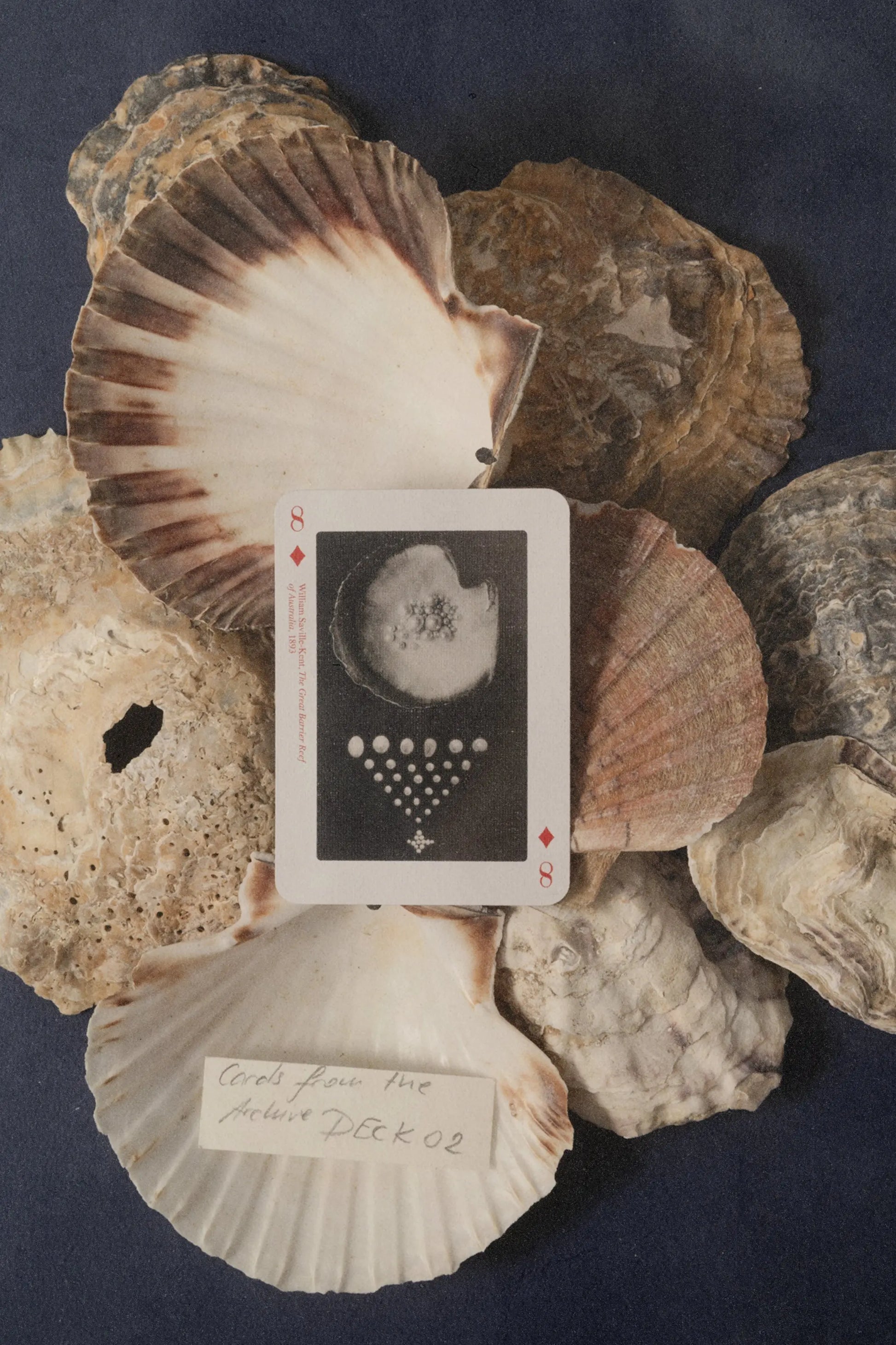 OUTLET Karty do gry bébé concept BÉBÉ Concept 