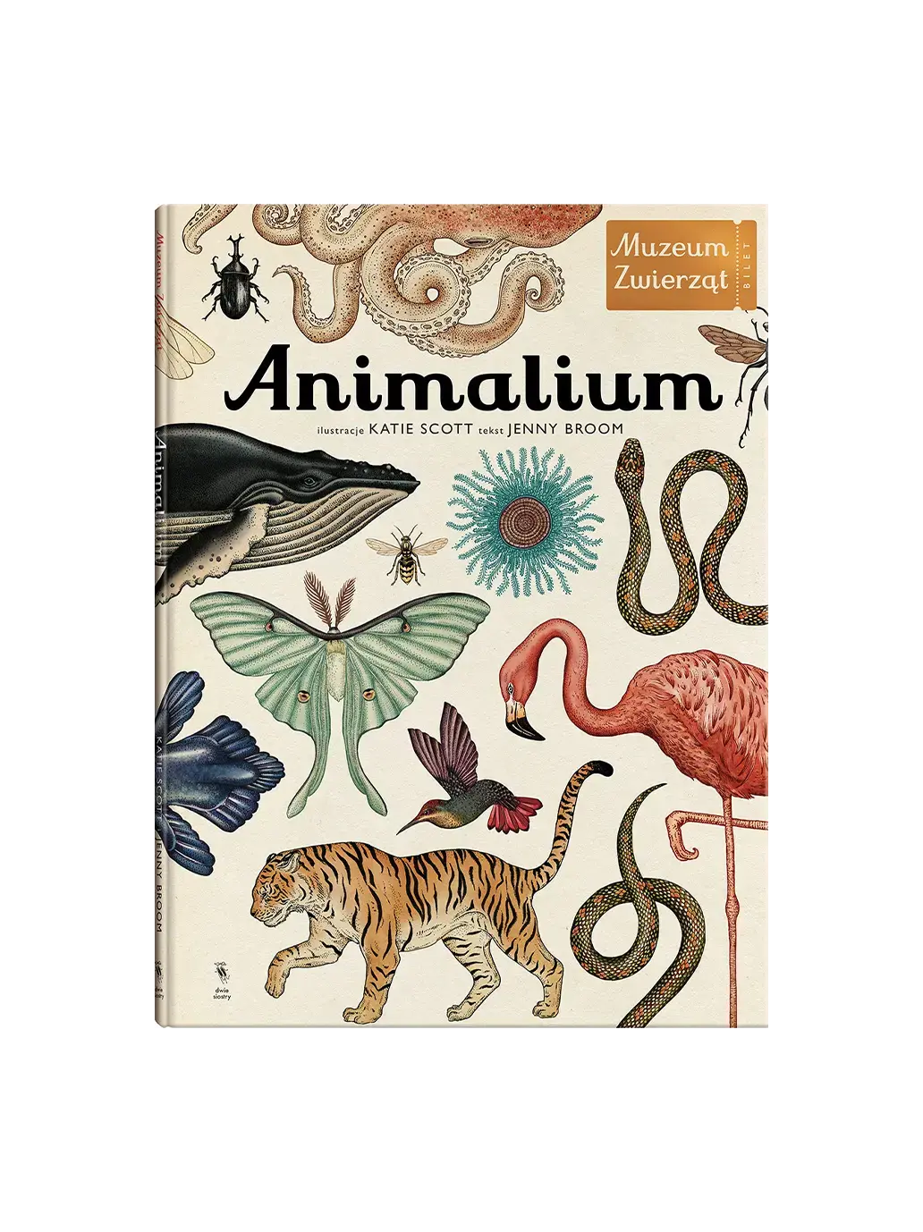 OUTLET W Muzeum. Animalium bébé concept BÉBÉ Concept 
