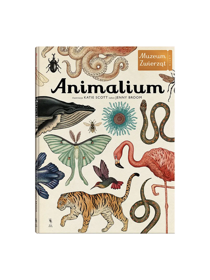 OUTLET W Muzeum. Animalium