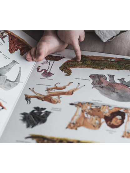 Wielka księga zwierząt Wydawnictwo SAM BÉBÉ Concept