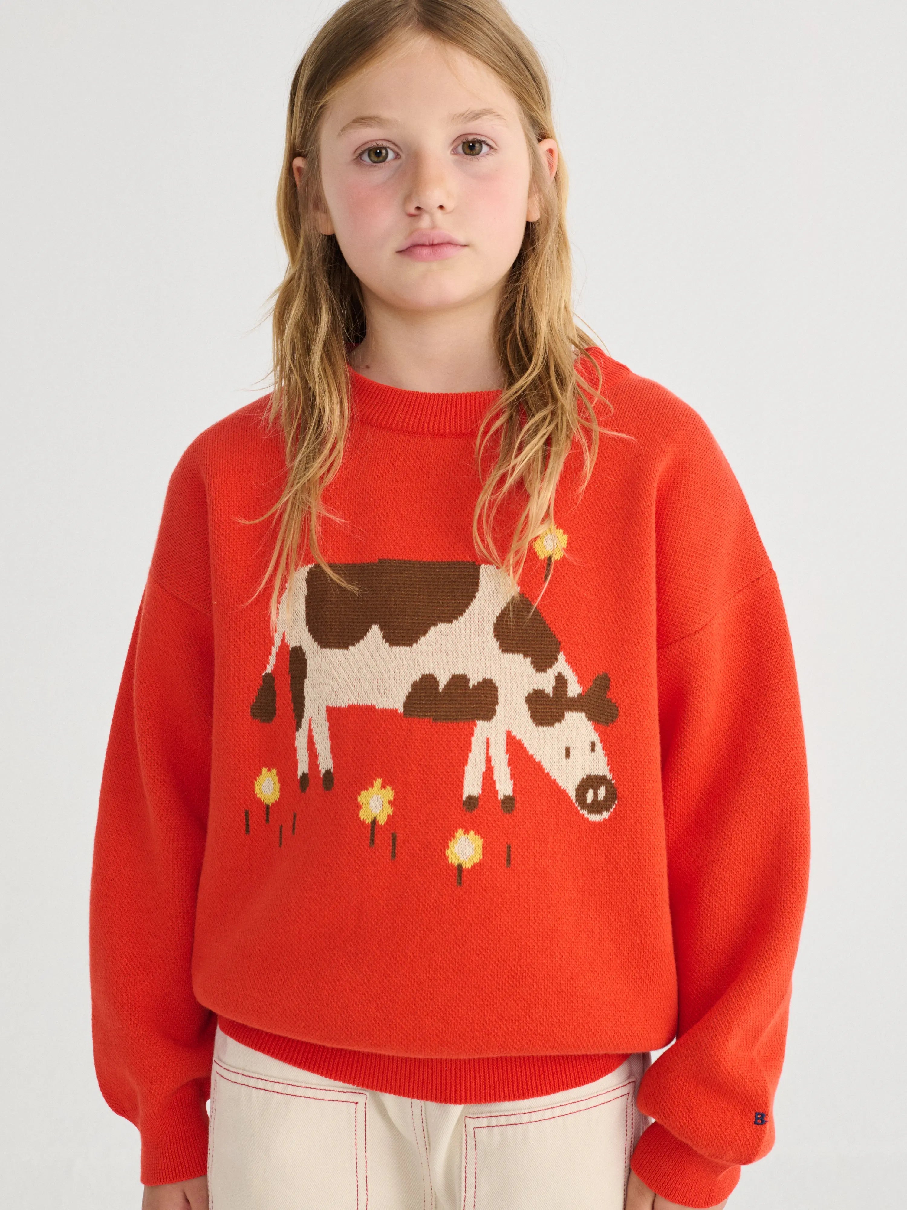 Sweter Farm Adventure jumper Bobo Choses BEBE Concept 