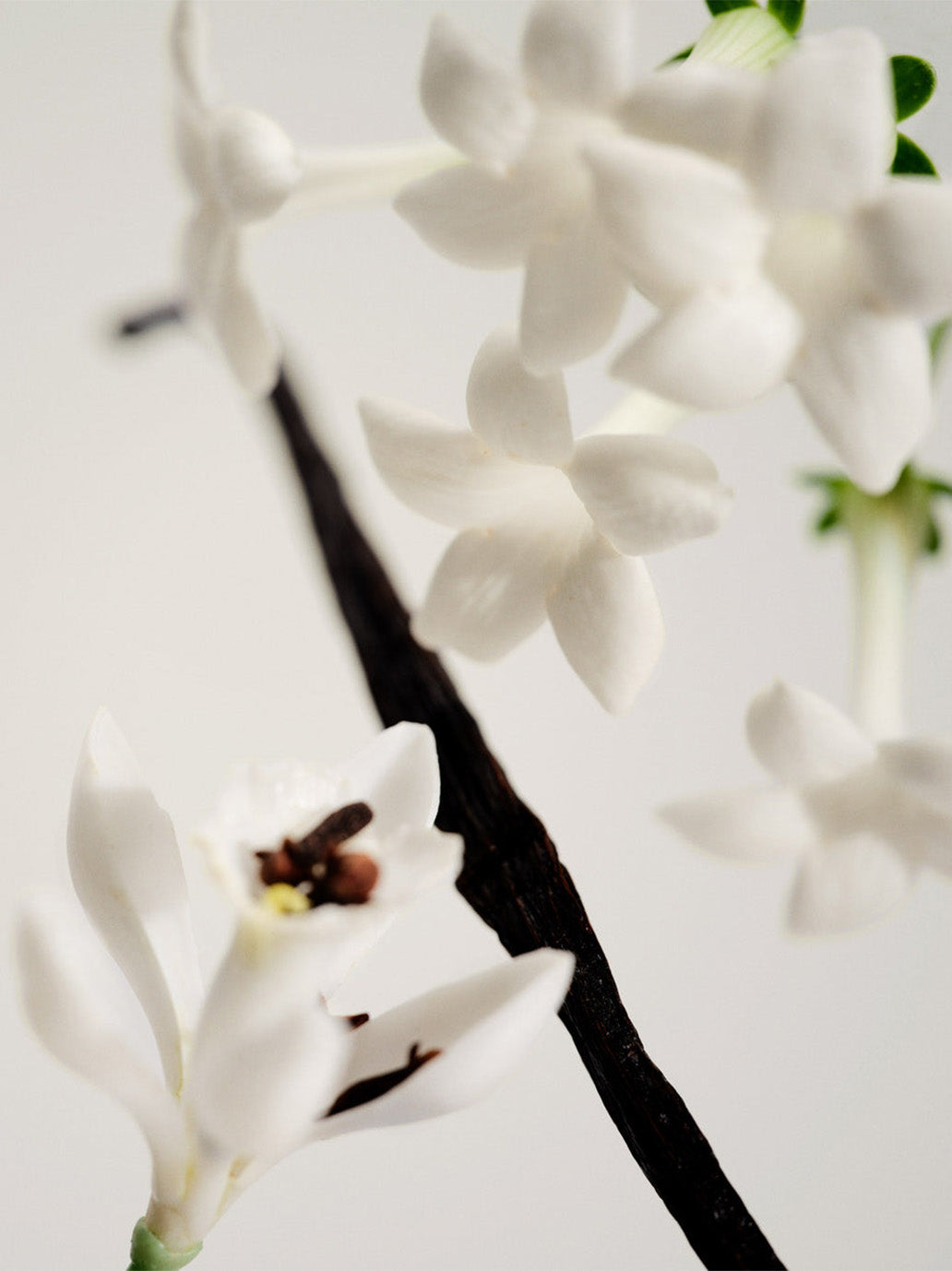 Naturalne perfumy w olejku No. 03 NO.03 L’ETANG NOIR