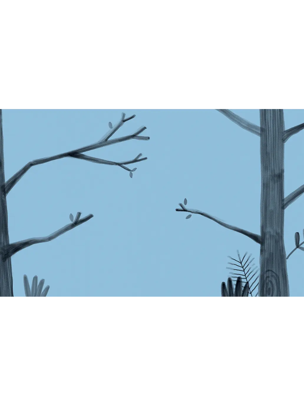 Umiem rysować Zwierzęta Wydawnictwo Kropka BEBE Concept 