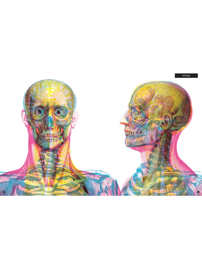 Gabinet anatomii Wydawnictwo Dwie Siostry BÉBÉ Concept