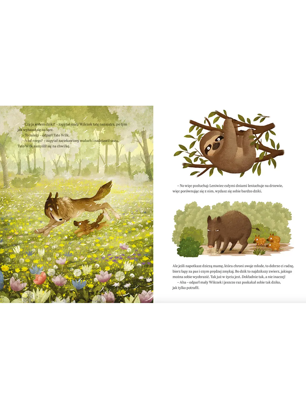 Tatusiu, czy dziesięć to dużo? Wydawnictwo Nasza Ksiegarnia BÉBÉ Concept