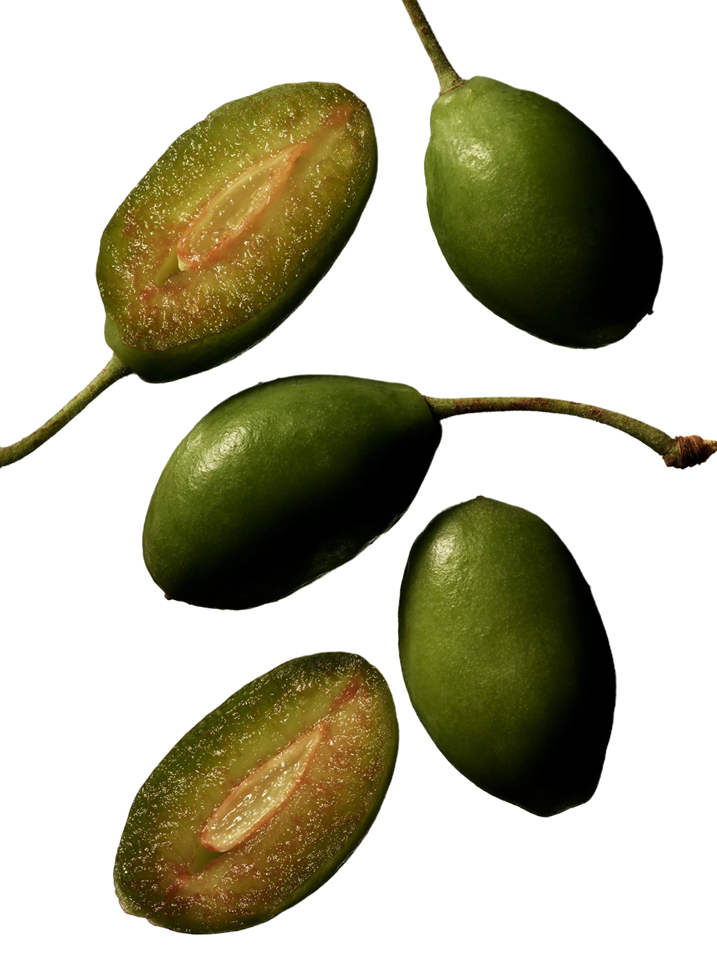 Wielofunkcyjny olejek Tinted Beauty Potion Manasi 7 BÉBÉ Concept 