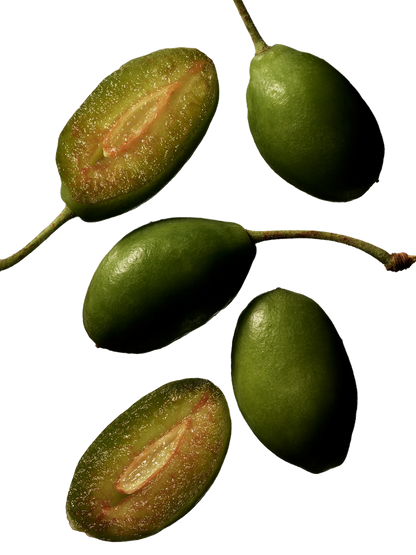 Wielofunkcyjny olejek Tinted Beauty Potion Manasi 7 BÉBÉ Concept 