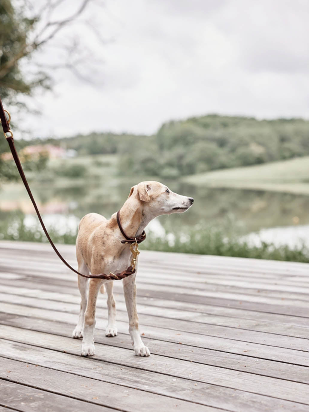 Skórzana smycz dla psa z regulacją Robin Dog Leash OYOY BÉBÉ Concept