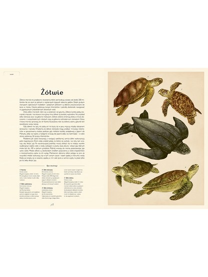 W Muzeum. Oceanarium Wydawnictwo Dwie Siostry BÉBÉ Concept