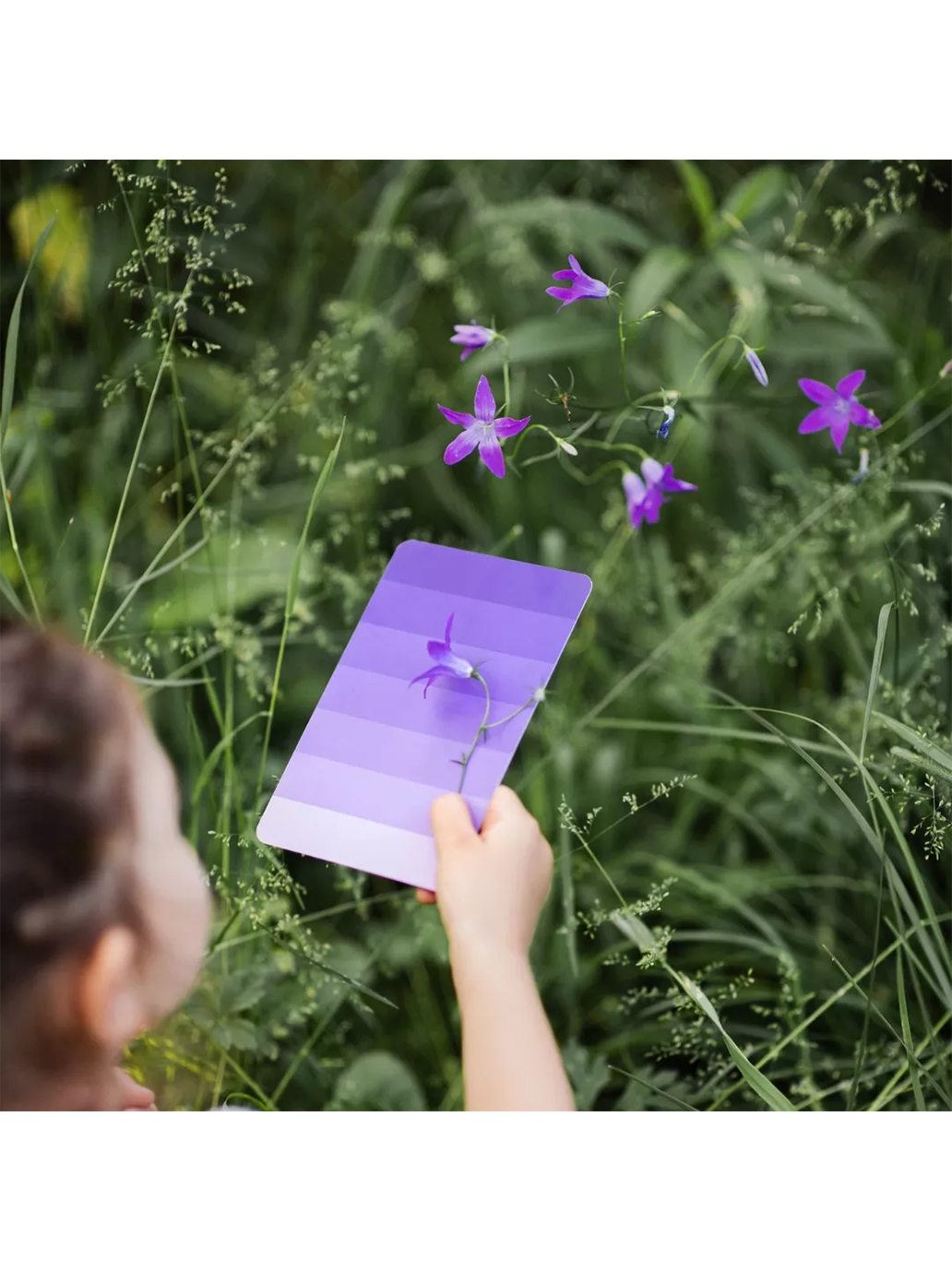 Edukacyjne karty kolorów Nanuki BÉBÉ Concept 