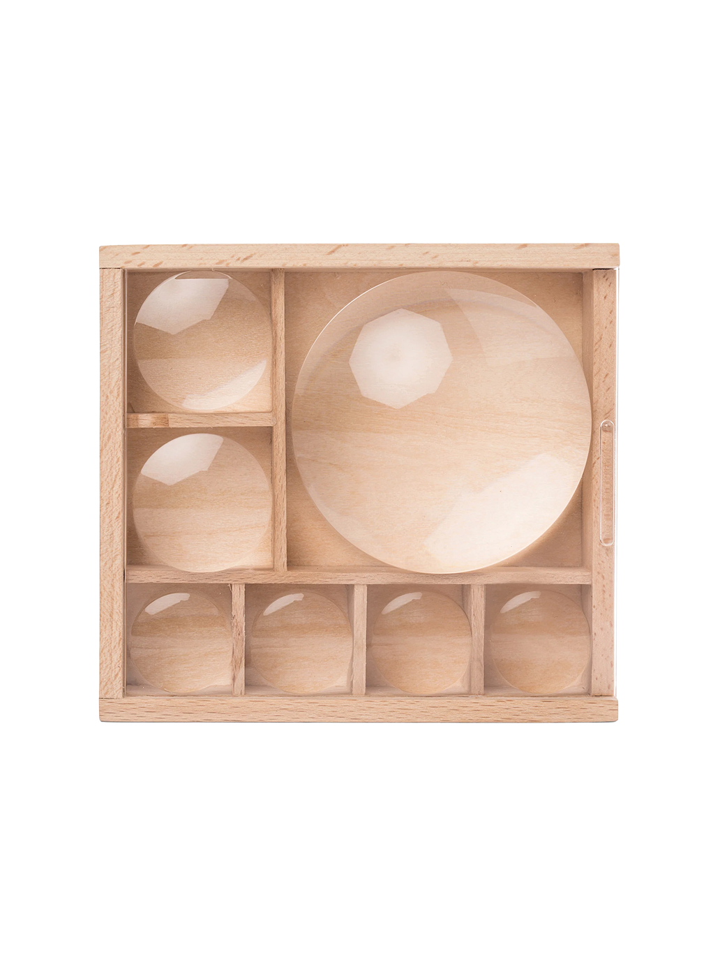 Organizer na skarby Huckleberry My Little Museum Kikkerland BÉBÉ Concept 