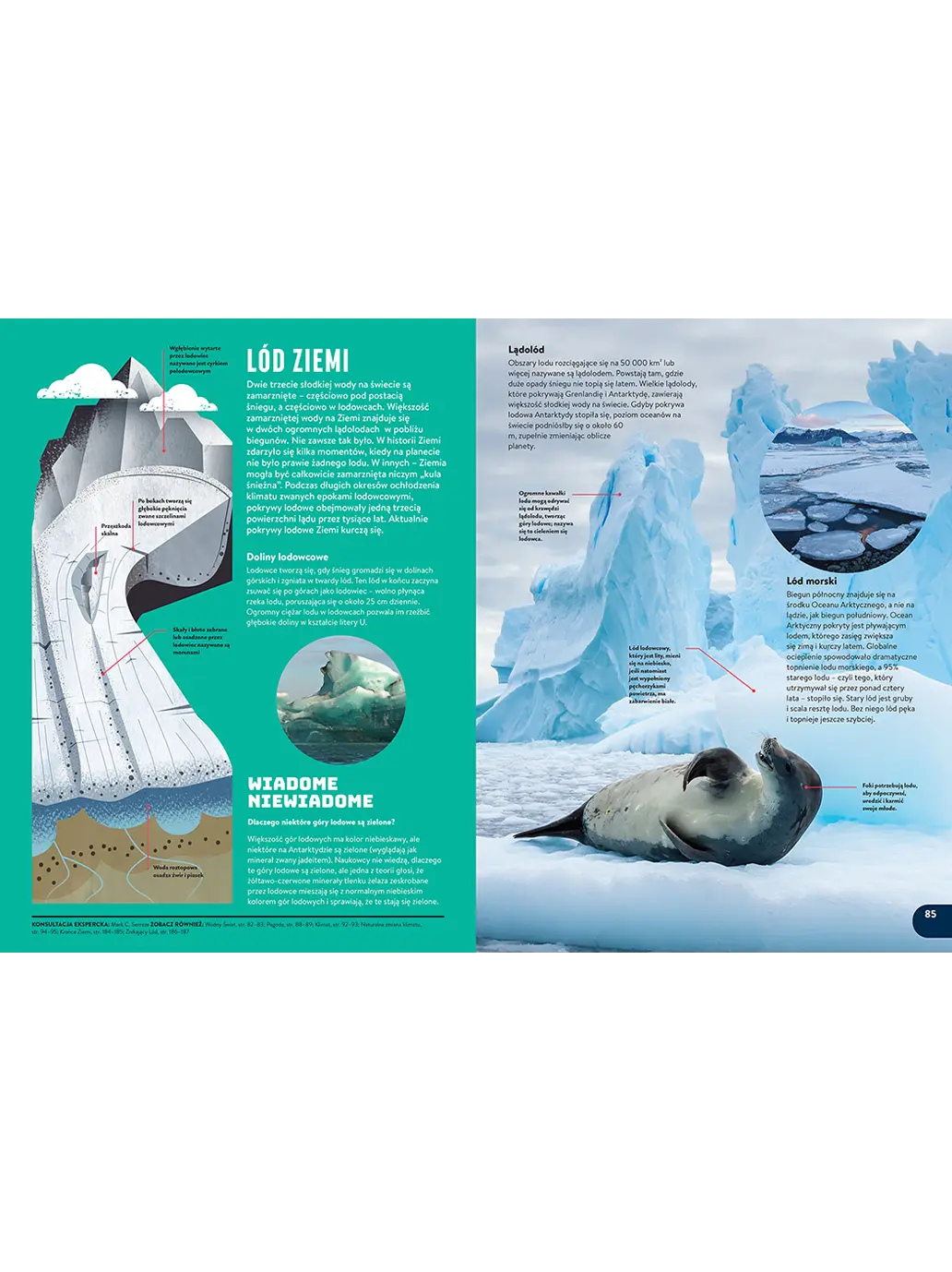 Encyklopedia dla dzieci Wydawnictwo Kropka BÉBÉ Concept