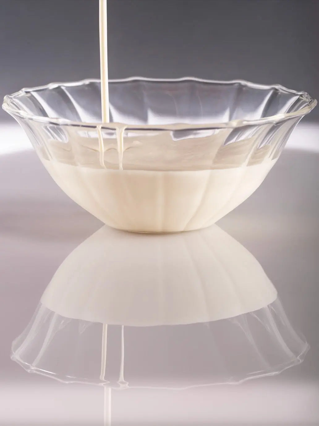 Le Petit Bol Sophie Lou Jacobsen BEBE Concept 