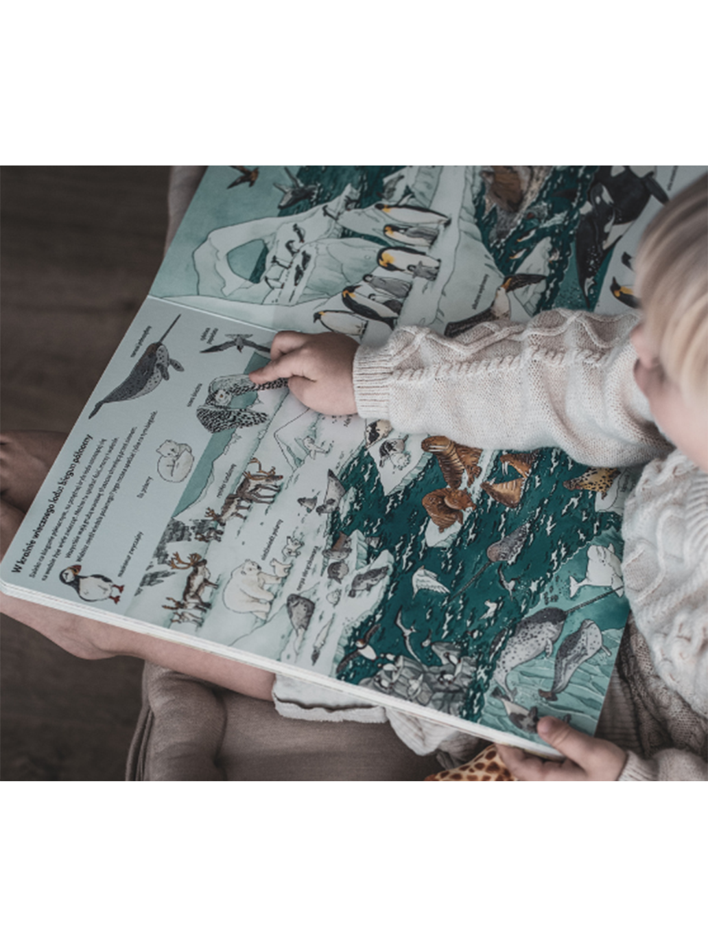 Wielka księga zwierząt Wydawnictwo SAM BÉBÉ Concept