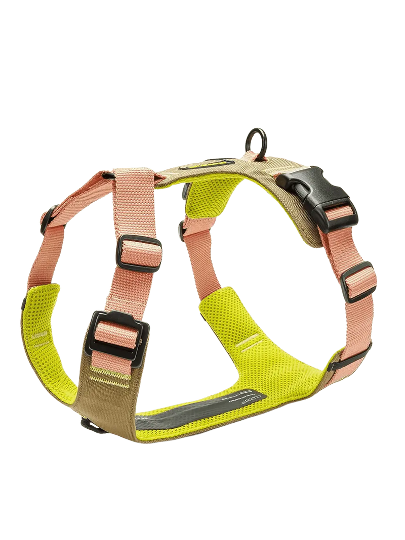 Szelki dla psa Y-2 Harness Aktiv Cloud7 BÉBÉ Concept 