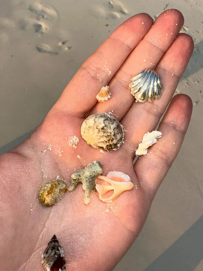 Kolczyki Seashell MAAR BEBE Concept 