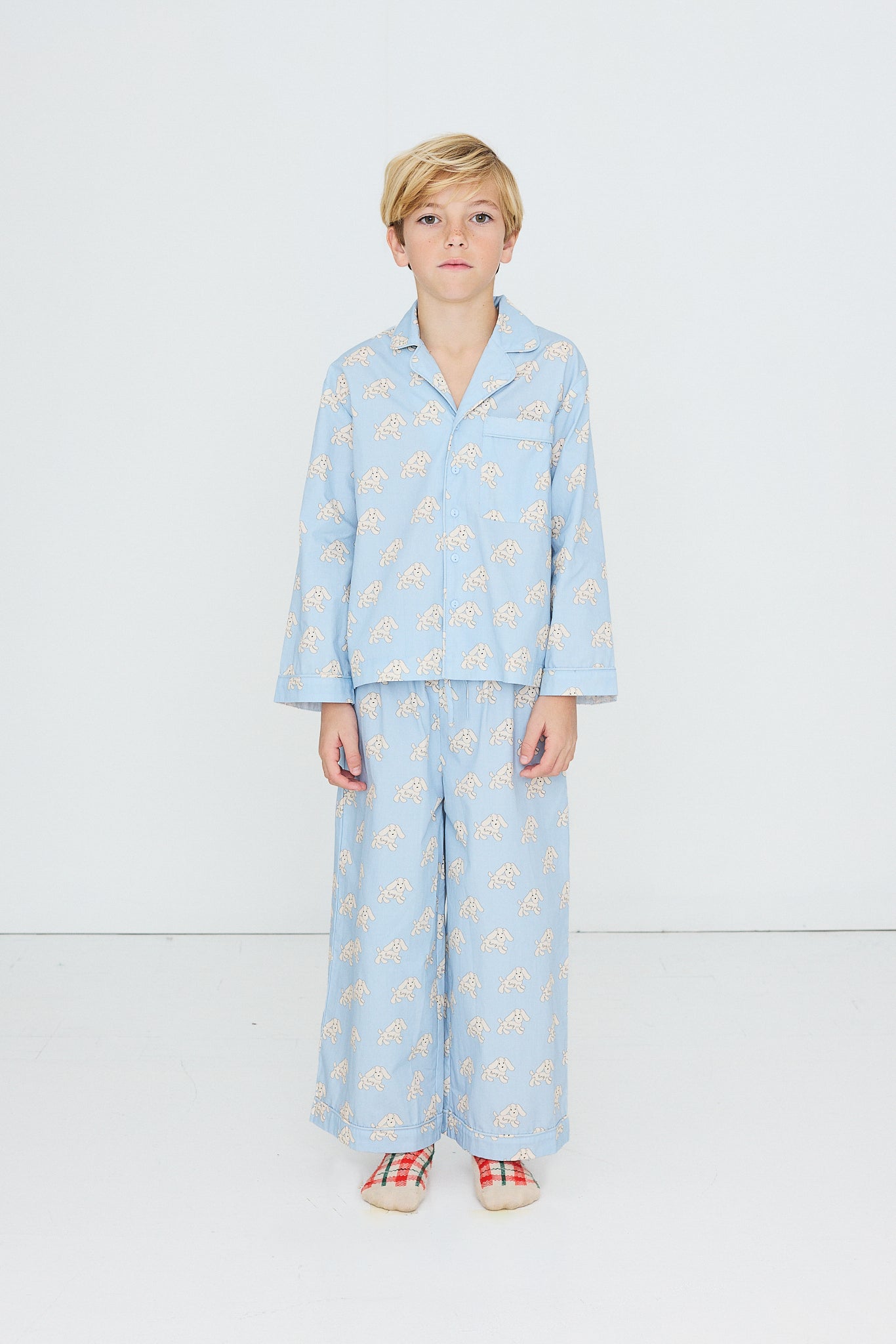 Dogs Set WASHED BLUE