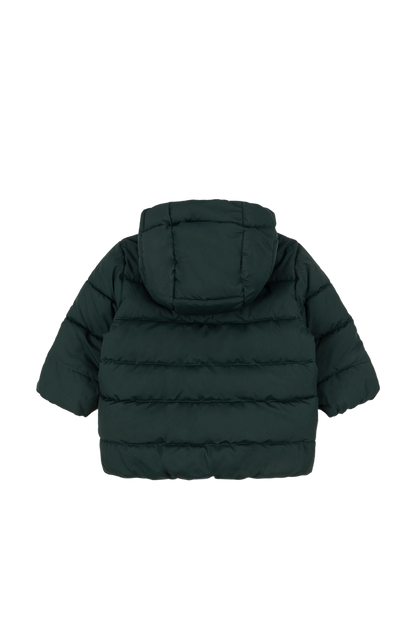 Kurtka Alpi Jacket SCARAB