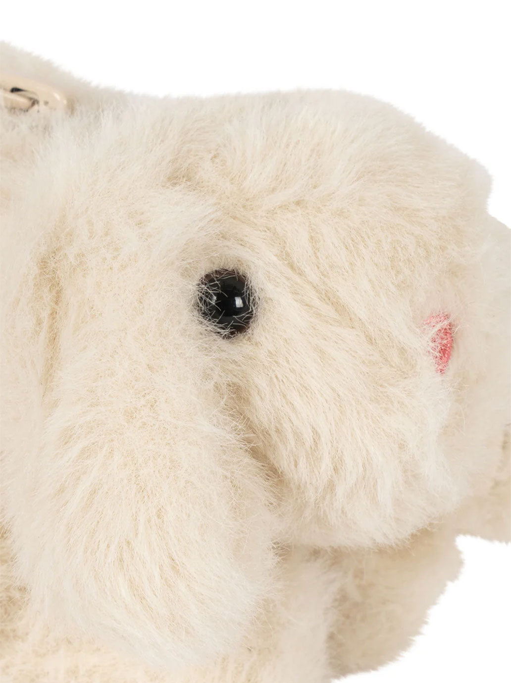 Teddy Pencil Case