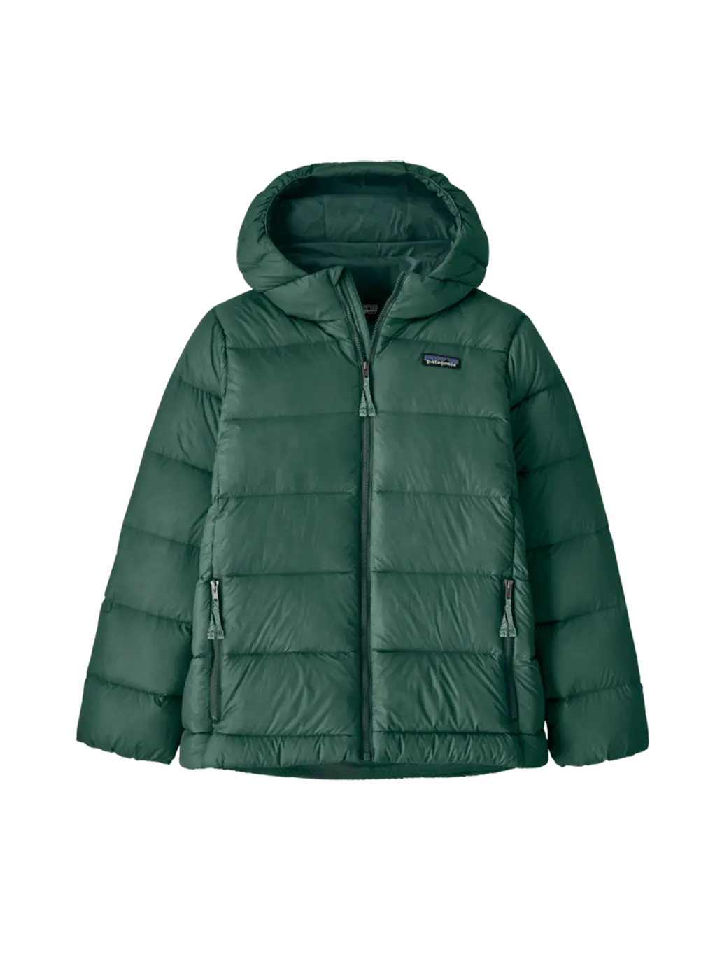 Ciepła kurtka puchowa Kids Hi-Loft Down Hoody Patagonia BEBE Concept 