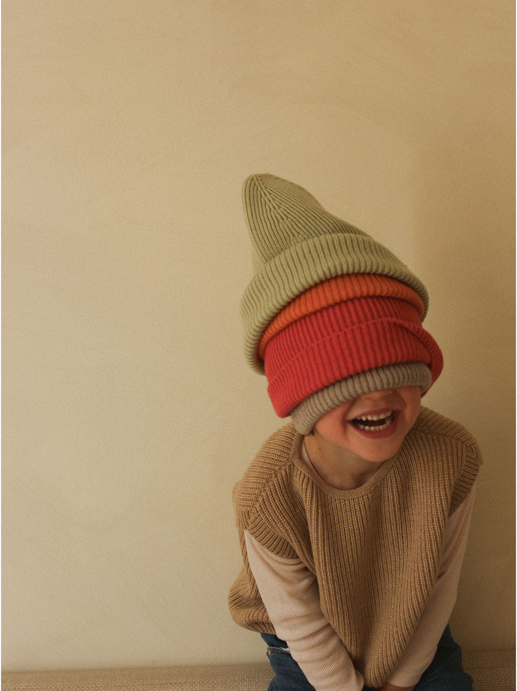 Merino Harvey vesta