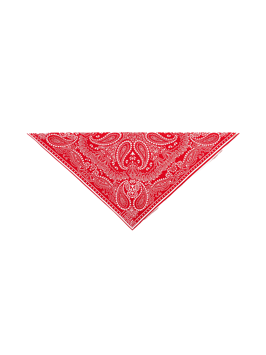 Mini Bandana Scarf