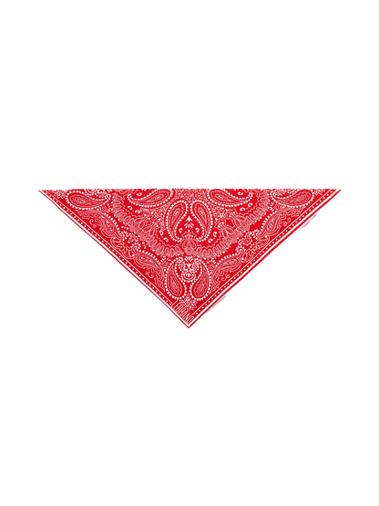 Mini Bandana Scarf RED