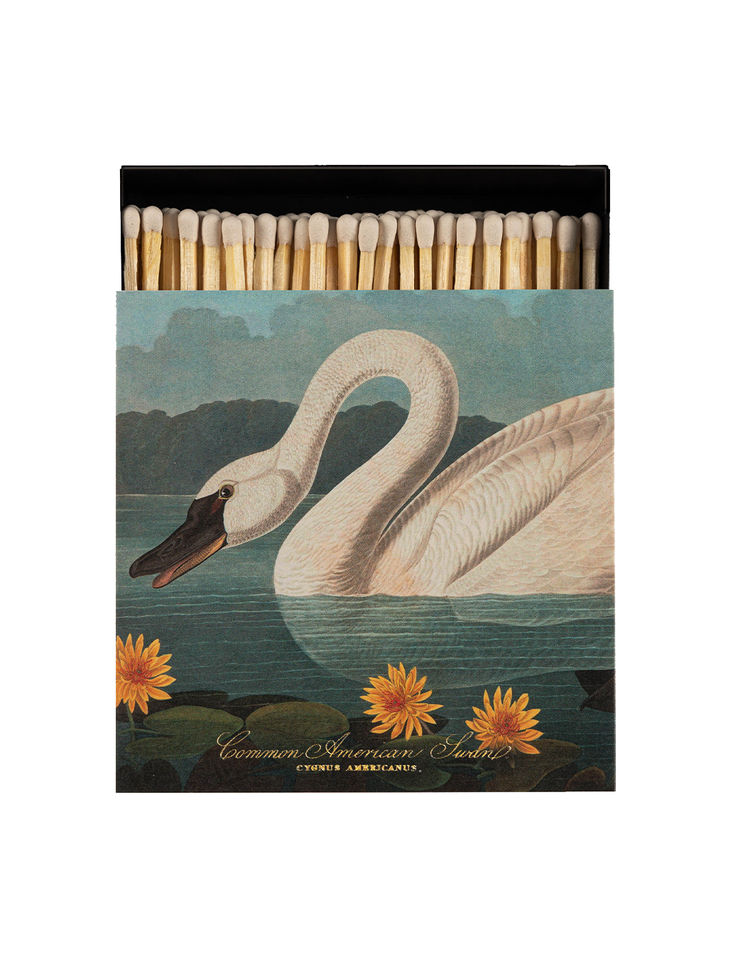 Allumettes de luxe dans une boîte décorative COMMON AMERICAN SWAN