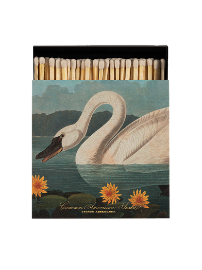 Allumettes de luxe dans une boîte décorative COMMON AMERICAN SWAN