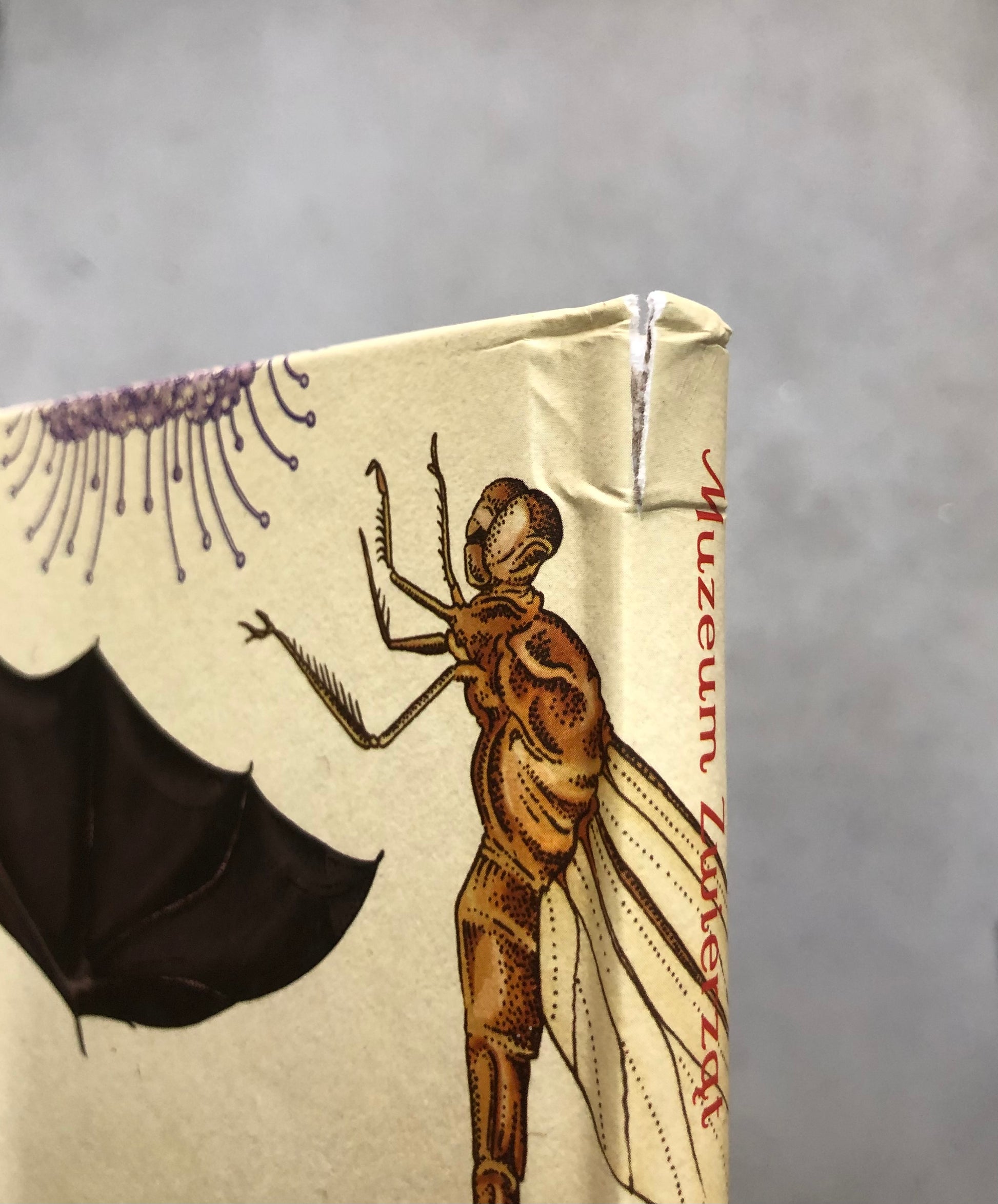 OUTLET W Muzeum. Animalium