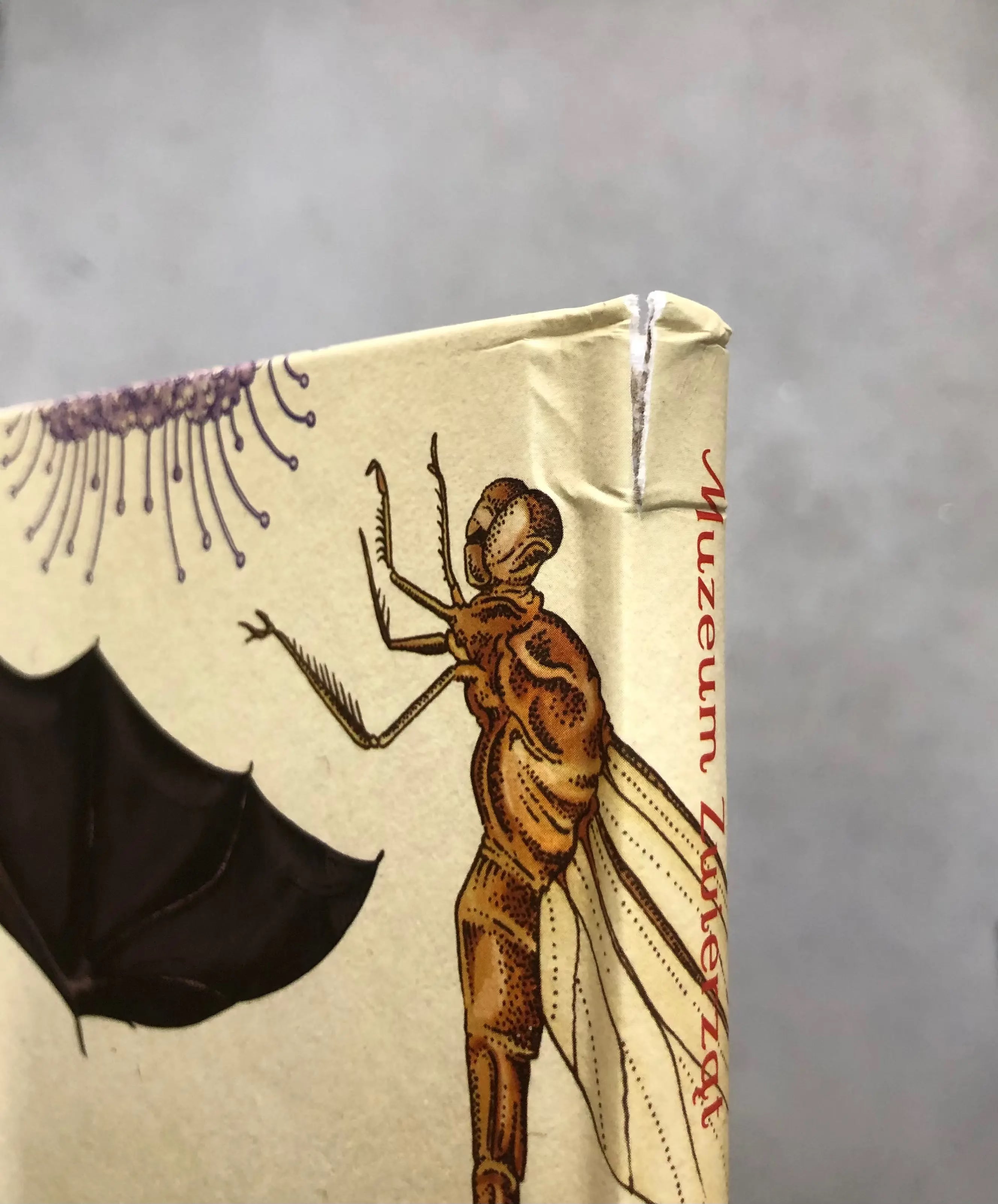 OUTLET W Muzeum. Animalium bébé concept BÉBÉ Concept 