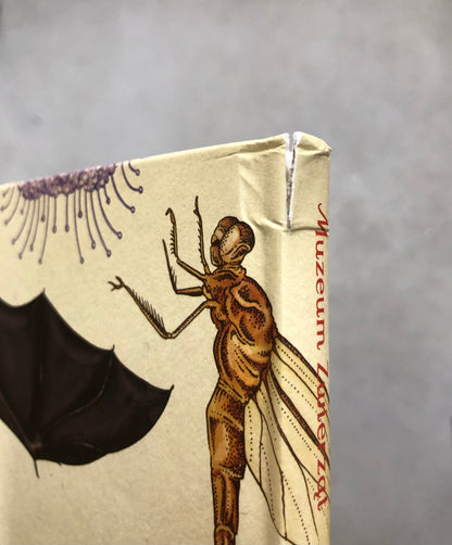 OUTLET W Muzeum. Animalium