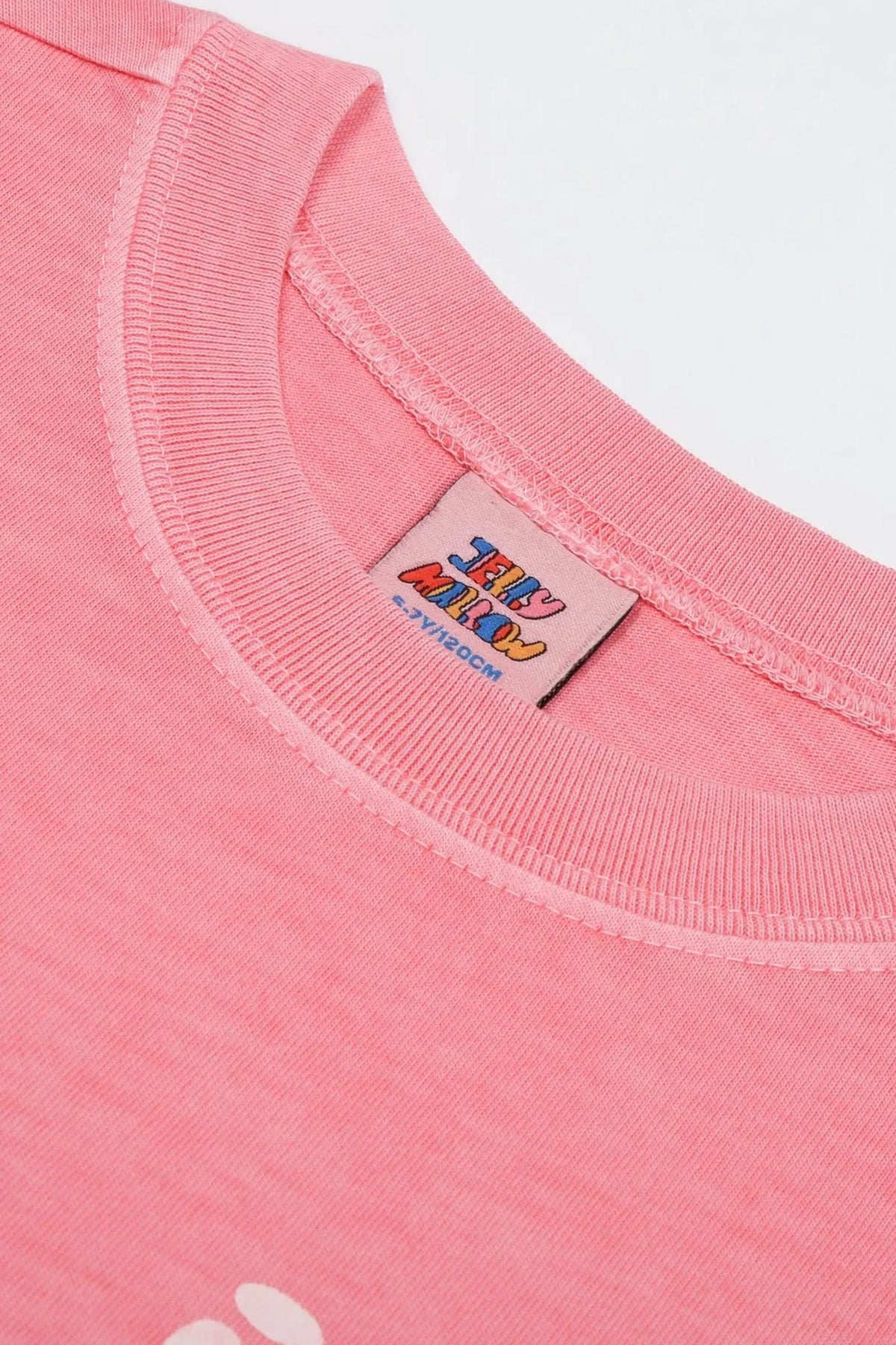Floral Pig Long-Sleeve T-Shirt PINK