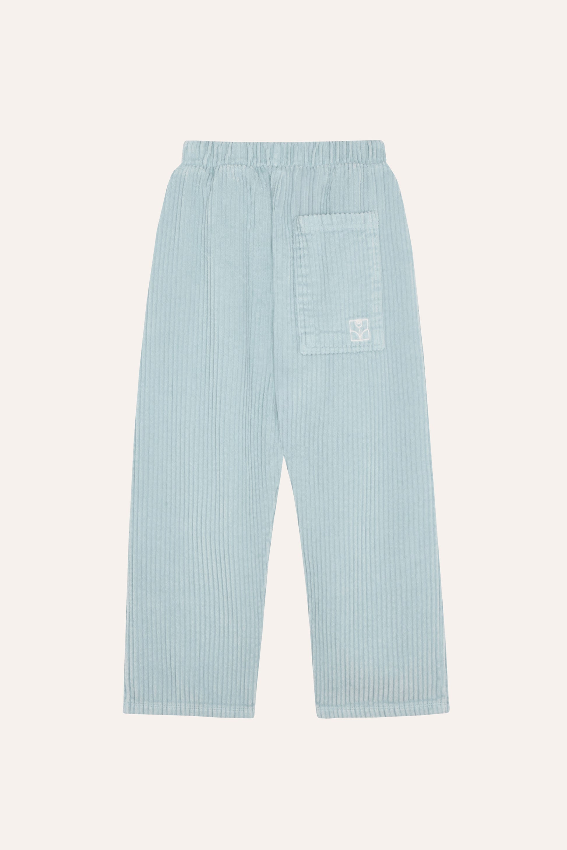 Light Blue Corduroy Trousers LIGHT BLUE